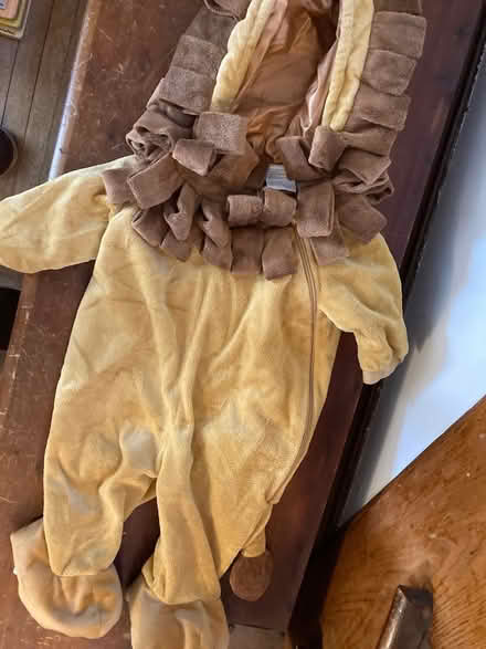 Photo of free 6-12mo lion costume (East Madison) #1