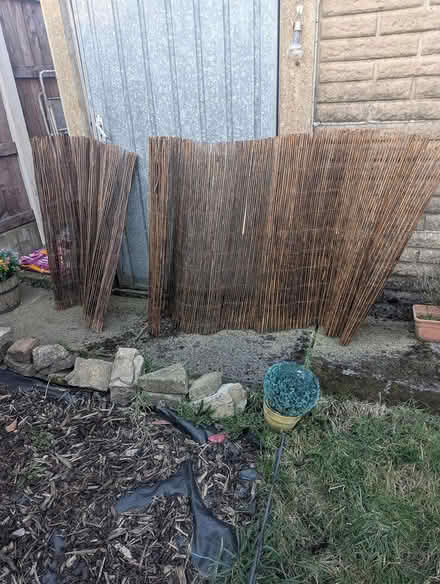 Photo of free Bamboo fencing (Bredbury, Stockport) #1