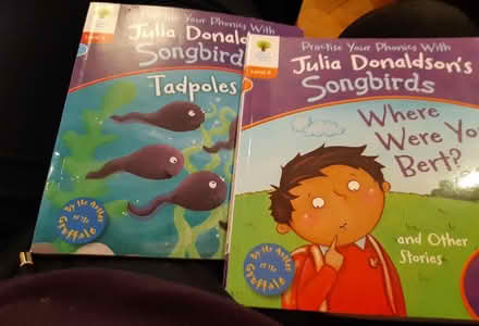 Photo of free 2 Julia Donaldson Songbirds books (Clapham MK41) #1