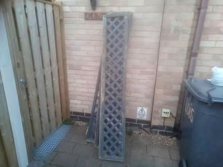 Photo of free Trellis (Killamarsh S21) #1