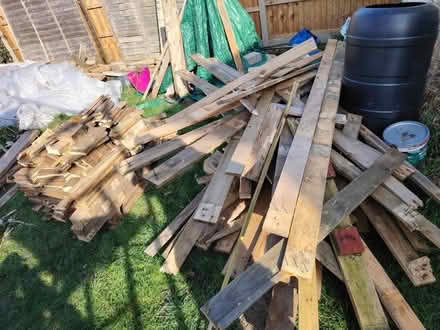 Photo of free Wood (Arlesey) #1