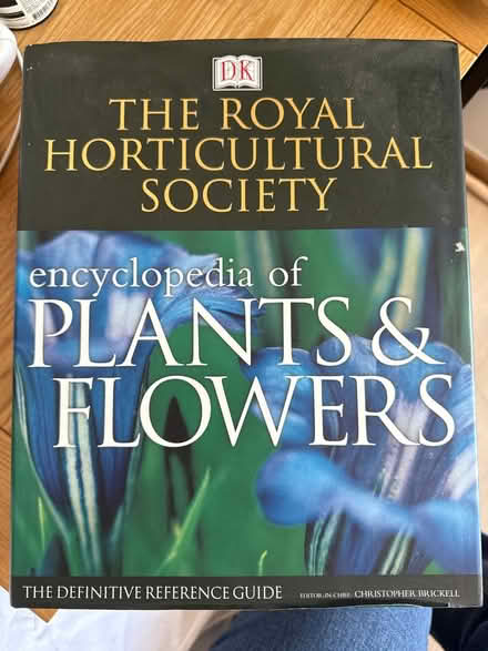 Photo of free RHS encyclopaedia plants and flower (Bower hill CM16) #1