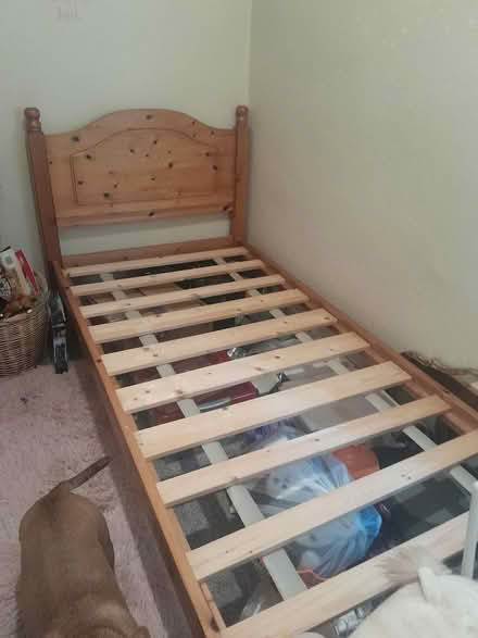 Photo of free Single Pine Bed (Keighley BD20) #1