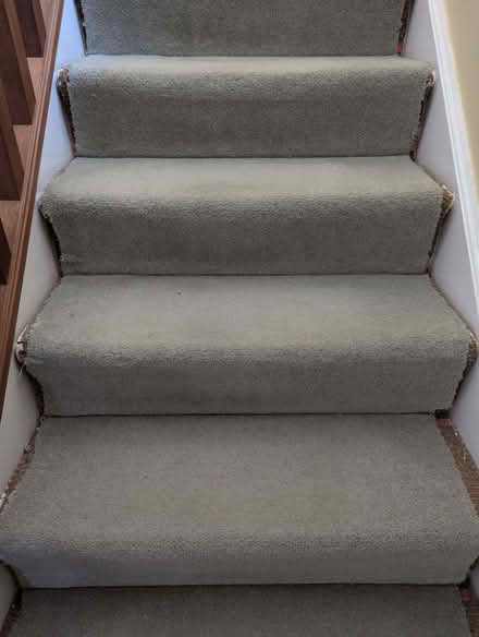 Photo of free Sage carpet for stairs or small hall (Poplars SG2) #1