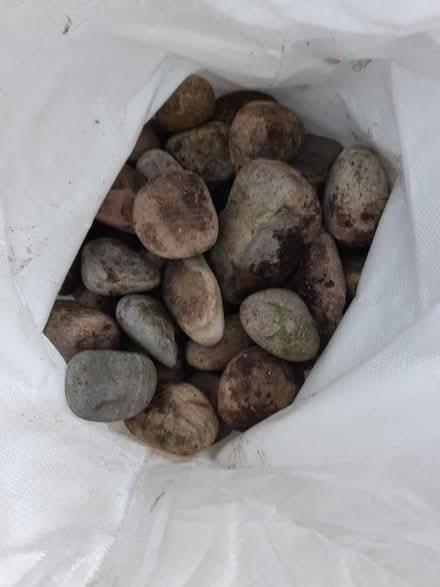 Photo of free Large pebbles for landscaping... lots! (Yaxley) #1