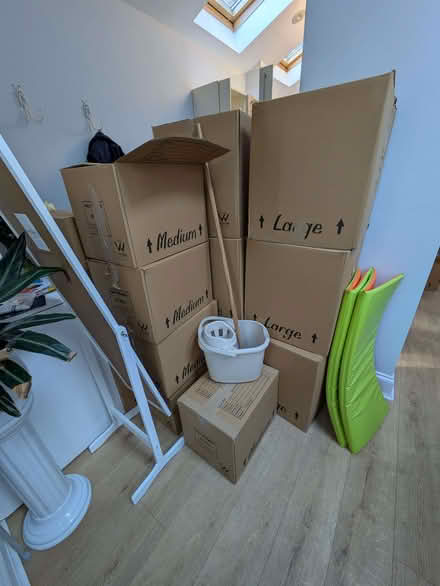 Photo of free Assortment of used cardboard packaging boxes (Wimbledon SW19) #3