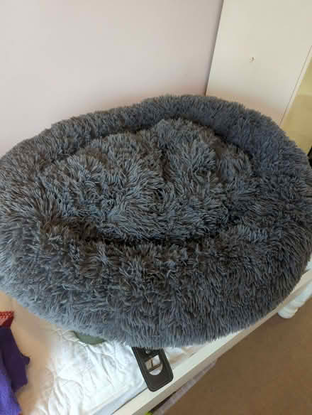 Photo of free Calming dog bed (Easthampstead RG12) #1