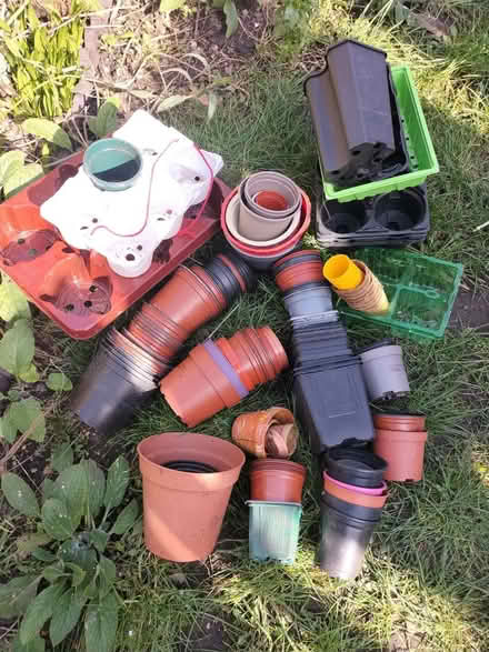 Photo of free plant pots (Walthamstow E17) #1