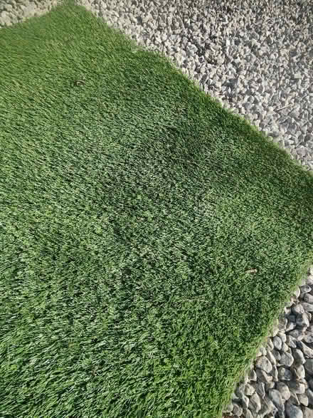 Photo of free Artificial grass offcuts (Tyttenhanger AL4) #2