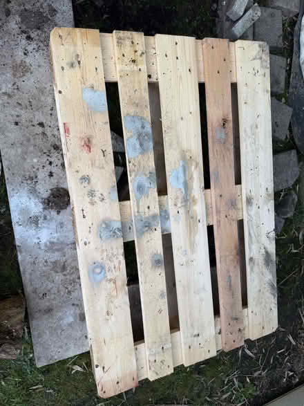 Photo of free Pallet (Welling DA16) #2