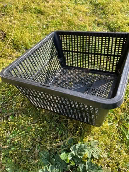 Photo of free Aquatic plant pots (Stirchley B30) #2