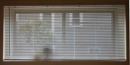 Photo of free Mini Blinds - 33 1/2" x 69 1/2" (Loyal Heights) #3