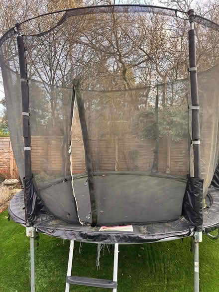 Photo of free Trampoline (Henley on thames rg91jq) #3