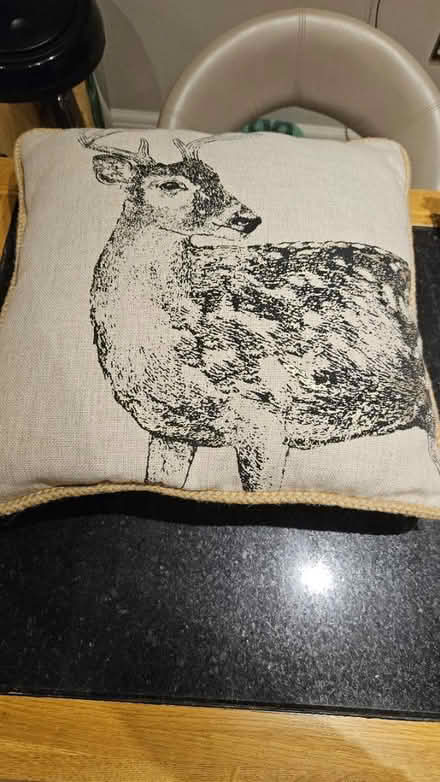 Photo of free Cushion (picture of stag) (CM15 Shenfield) #1