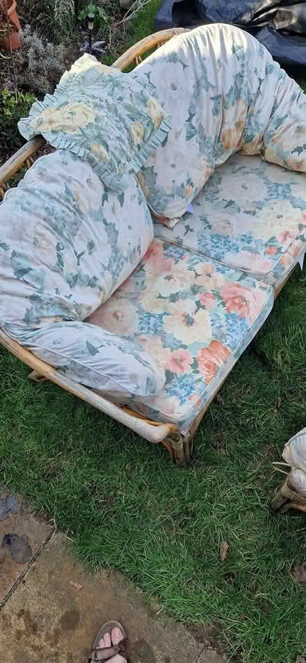 Photo of free Cane sofas (OX14,Abingdon) #4