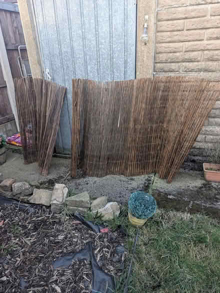 Photo of free Bamboo fencing (Bredbury, Stockport) #2