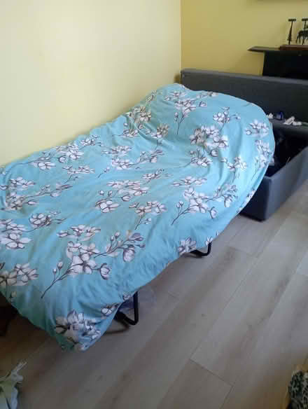 Photo of free Single bed folds up into the box (Leigh-On-Sea SS9) #2