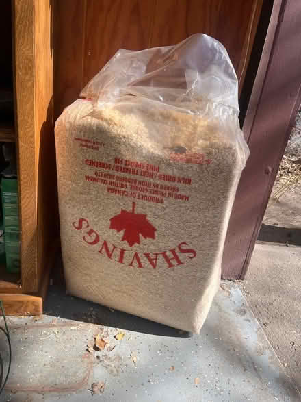 Photo of free Large bag of pine spruce shavings (Old North End) #1