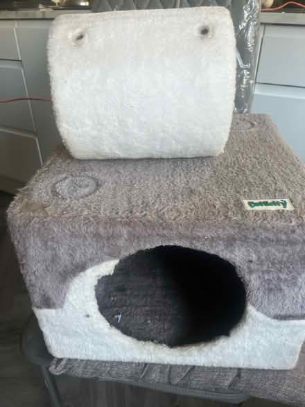 Photo of free Cat box/ tunnel (Northend) #1