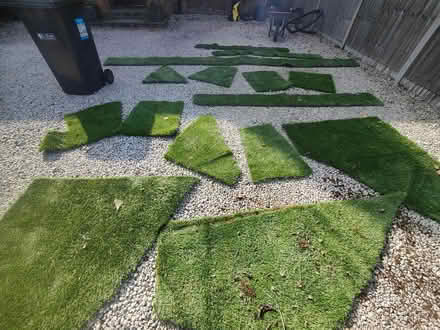 Photo of free Artificial grass offcuts (Tyttenhanger AL4) #3
