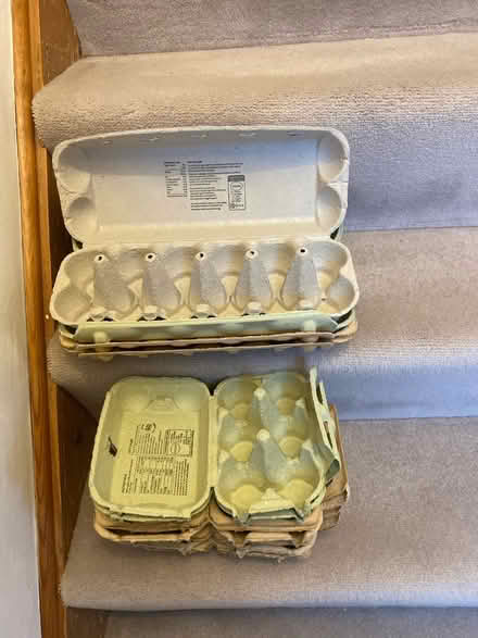 Photo of free Egg boxes (Crawley RH11) #1