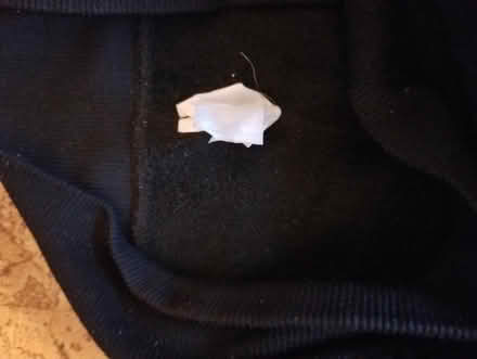 Photo of free Black thermal leggings (Gloucester) #3