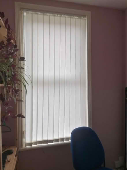 Photo of free Vertical blinds x2 (Whitley Bay NE26) #2