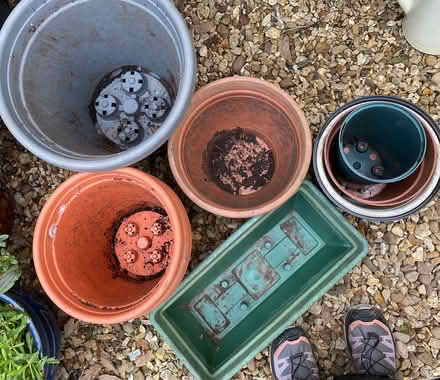 Photo of free Garden Pots (Plastic) (Thurcaston LE7) #3