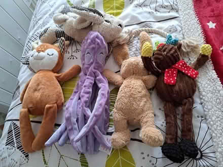 Photo of free Dog toys (Gosport PO13) #1