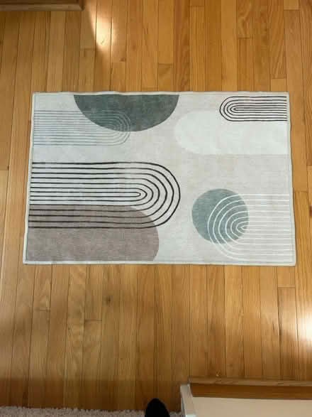 Photo of free Ruggable Brand Rug (Lake Arlington) #1