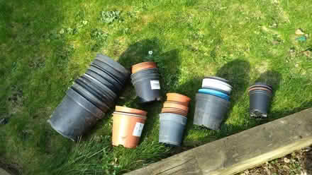 Photo of free Plant pots various sizes (Leckhampton GL53) #1