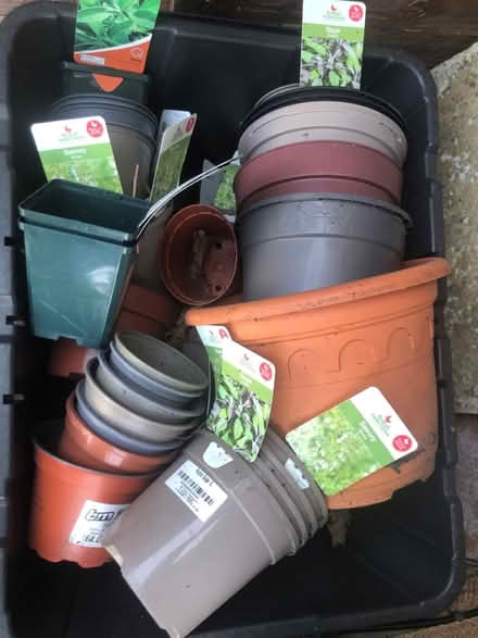 Photo of free Box of Plant pots (LU2) #1