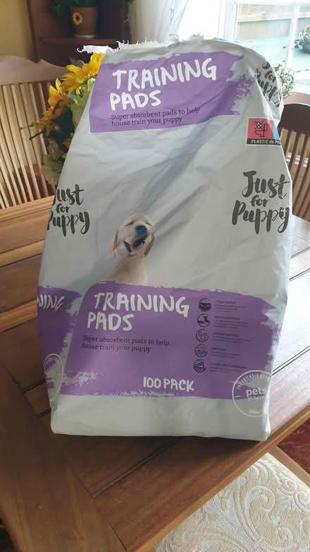 Photo of free Half packet of puppy training pads (Chelmsford) #2