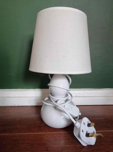 Photo of free Lamp (Lower Walkley S6) #1