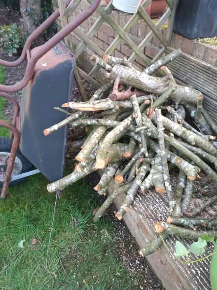 Photo of free logs (Woolton L25) #1