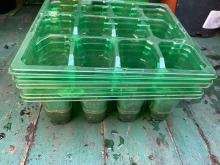 Photo of free Seed Trays / Small Growing Trays (Thurcaston LE7) #3