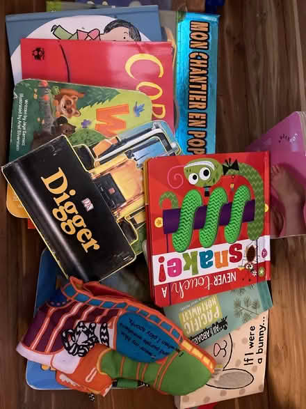 Photo of free Baby/toddler books (East Madison) #1