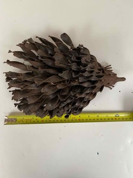 Photo of free Metal ornamental garden hedgehog (Runcton PO20) #2