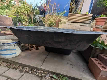 Photo of free Fish pond (LS12 Armley) #2