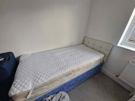 Photo of free Single bed (Westbury BA13) #4