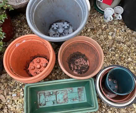 Photo of free Garden Pots (Plastic) (Thurcaston LE7) #1