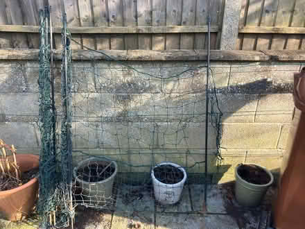 Photo of free 'Omlet' Chicken fencing (New Marston OX3) #2