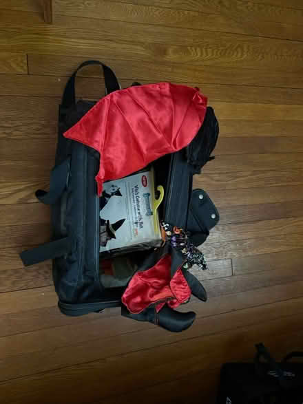 Photo of free Small dog/cat carrier + costumes (Yonkers) #1