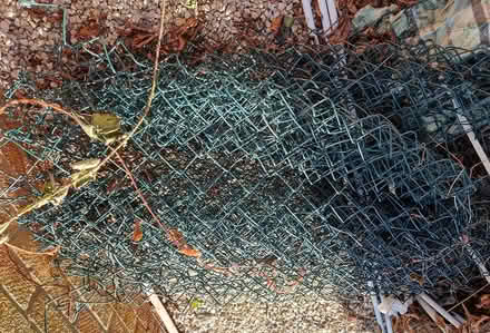 Photo of free Chain link fencing (CB4 3) #2