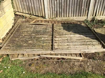 Photo of free Dismantled shed (Marston Moretaine MK43) #1