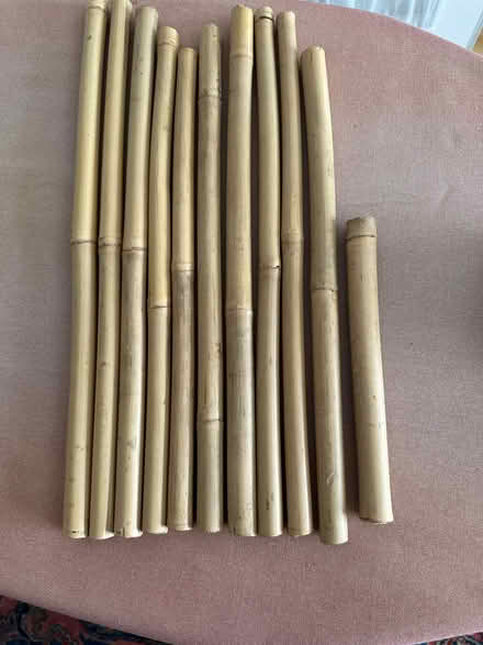 Photo of free Bamboo sticks (North Berkeley Hills) #1