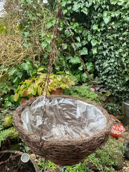 Photo of free Hanging Basket (Thurcaston LE7) #1