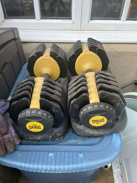 Photo of free Weights (South Hinksey OX1) #1