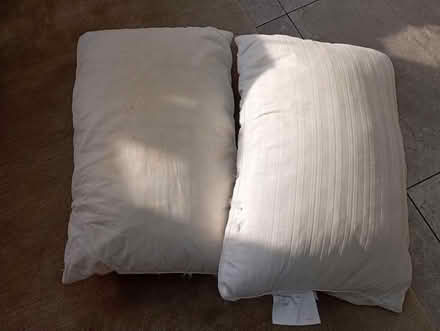 Photo of free Used pillows (St Albans AL4) #1