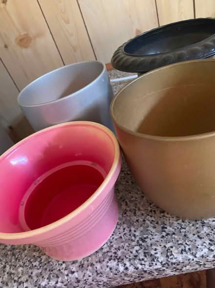 Photo of free 4 pot plant holders (Pebsham TN40) #2
